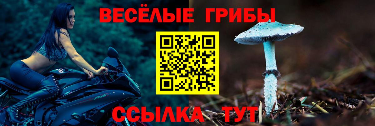 Псилоцибиновые грибы Psilocybine cubensis  Вход с VPN  магазин  наркотиков  Кубинка 